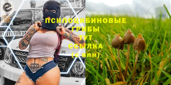 экстази Алексеевка