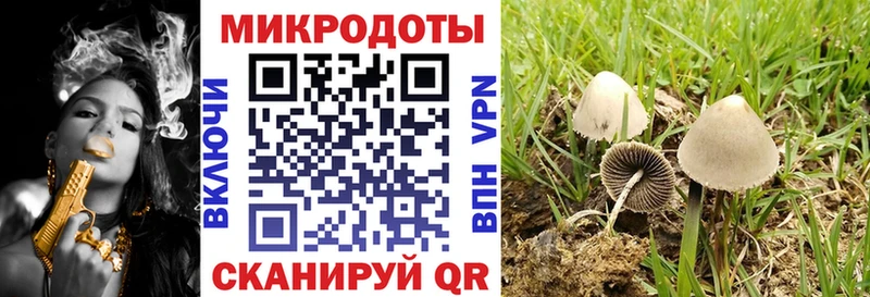 Галлюциногенные грибы ЛСД Черноголовка